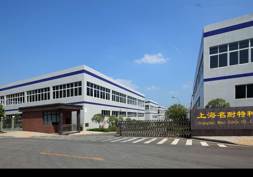 名耐抗拉耐磨吊具電纜 廠家價格、圖片及批發(fā)采購全解析